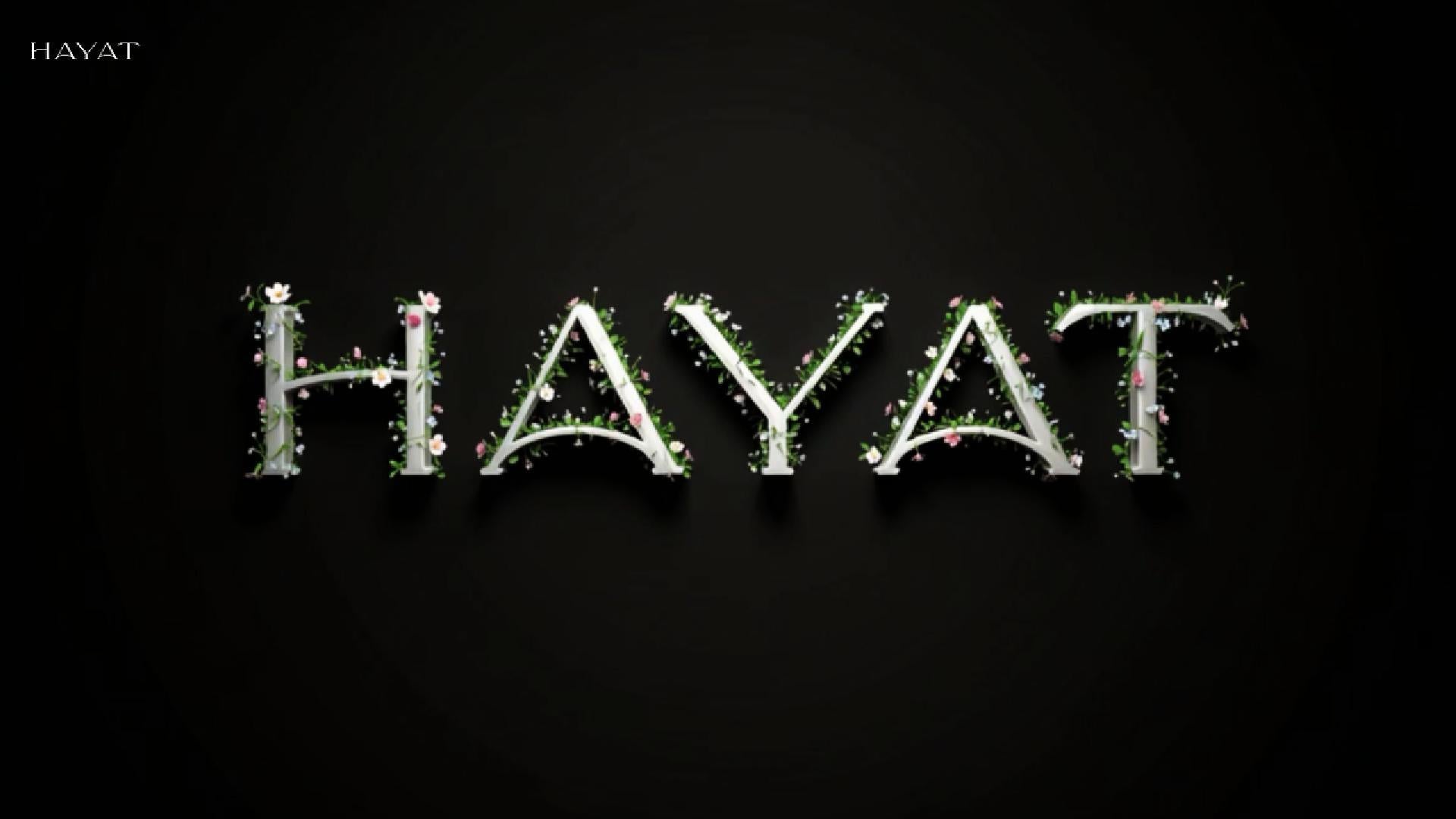 Was ist Hayat 